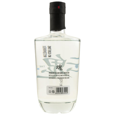 Soul / Tamashi Gin - Asta Morris